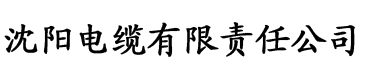 人人妻人人澡人人爽人人精品蜜桃电缆厂logo